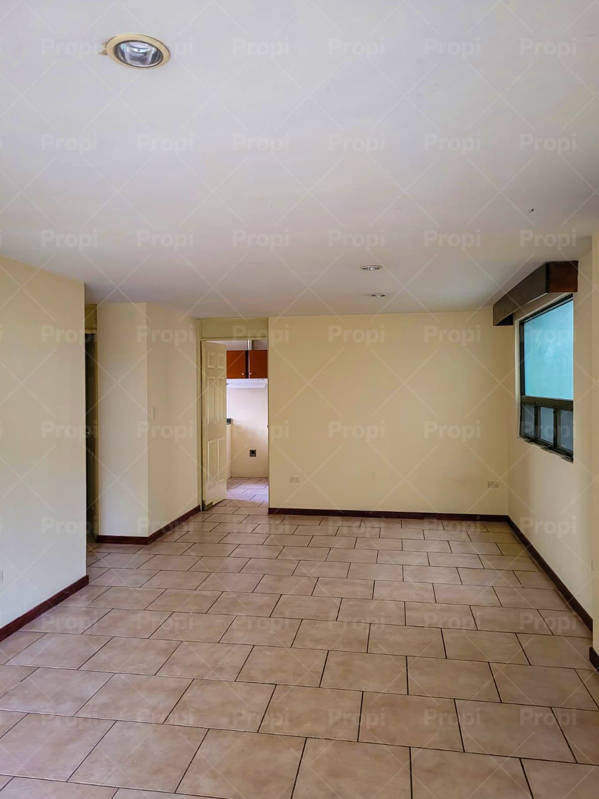 Foto 1 del proyecto