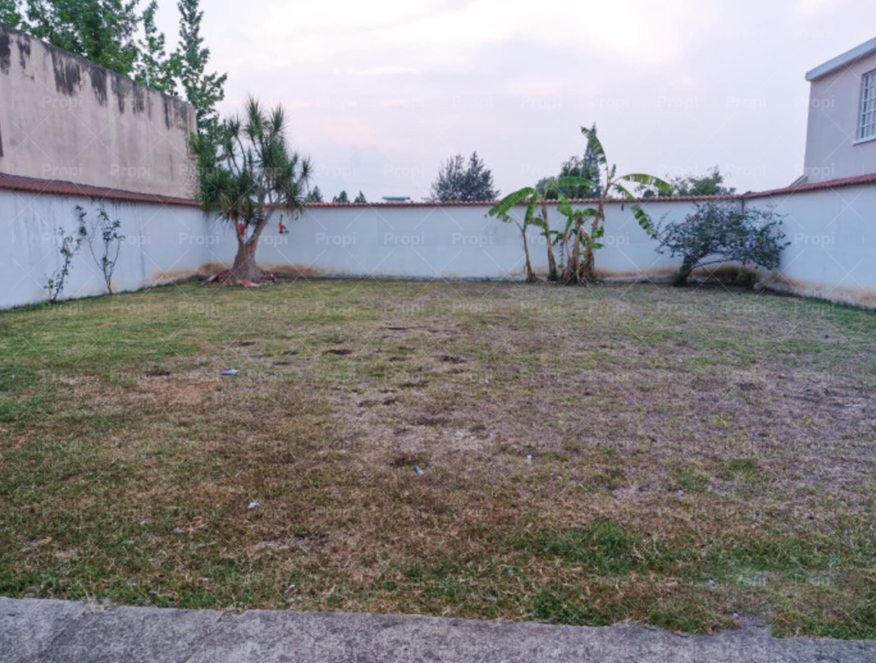 Foto 5 del proyecto