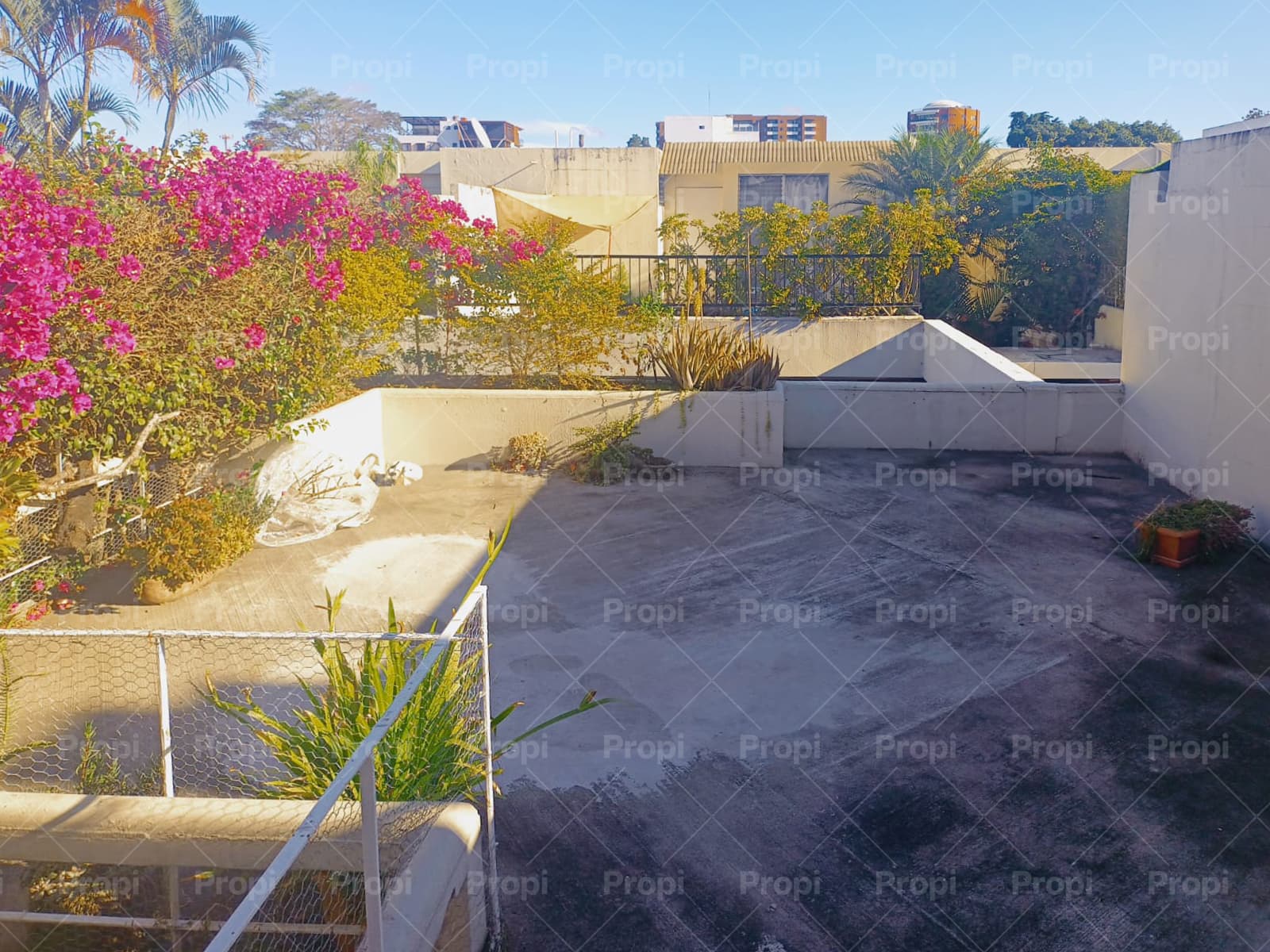 Foto 6 del proyecto