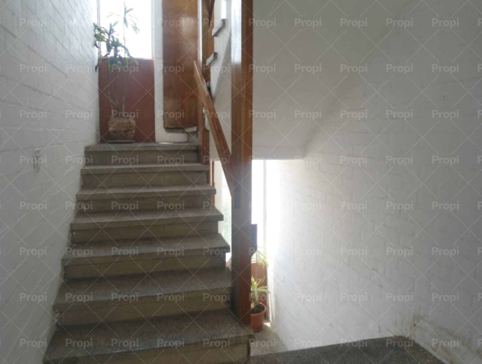 Foto 7 del proyecto