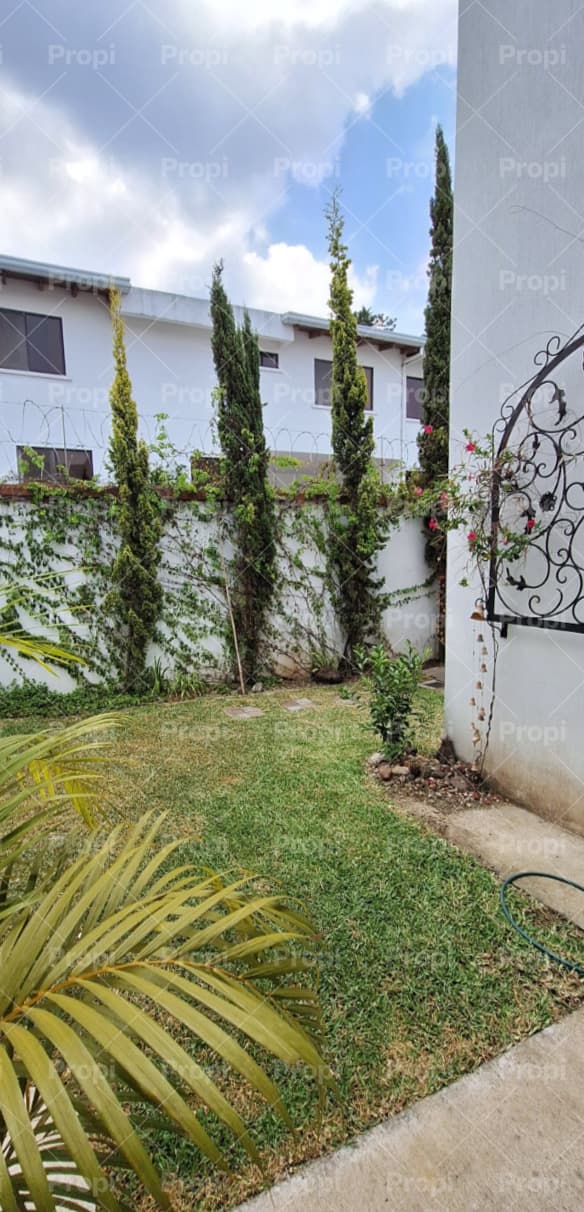 Foto 5 del proyecto