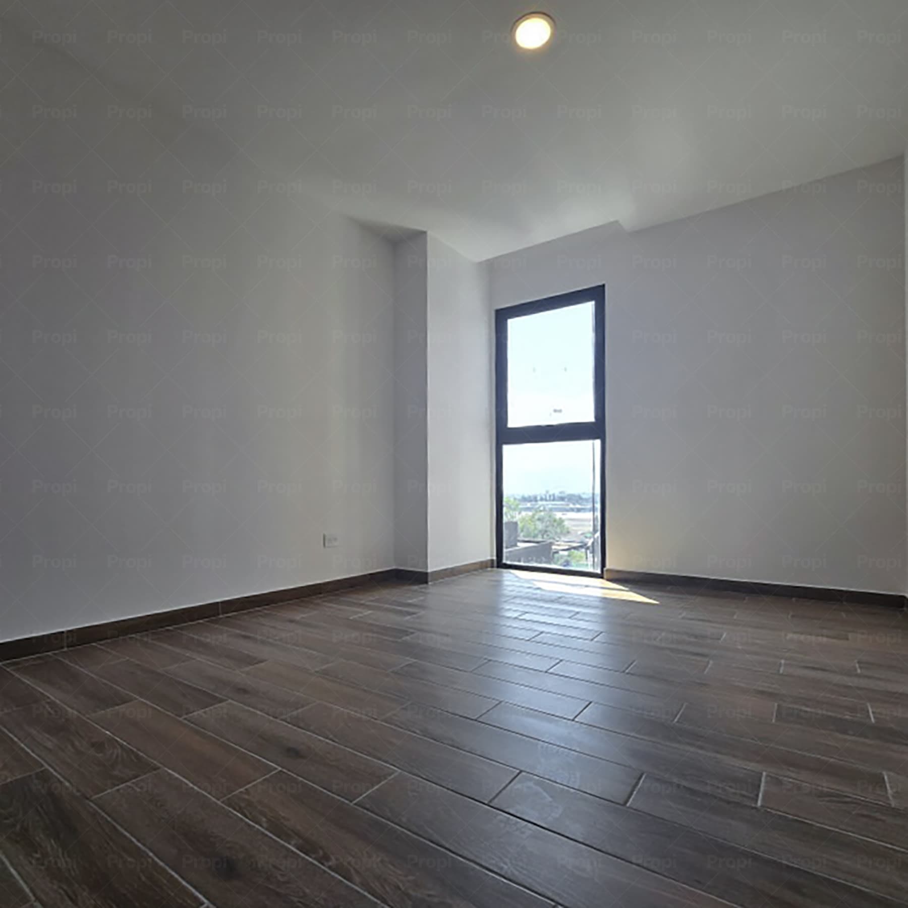 Foto 7 del proyecto