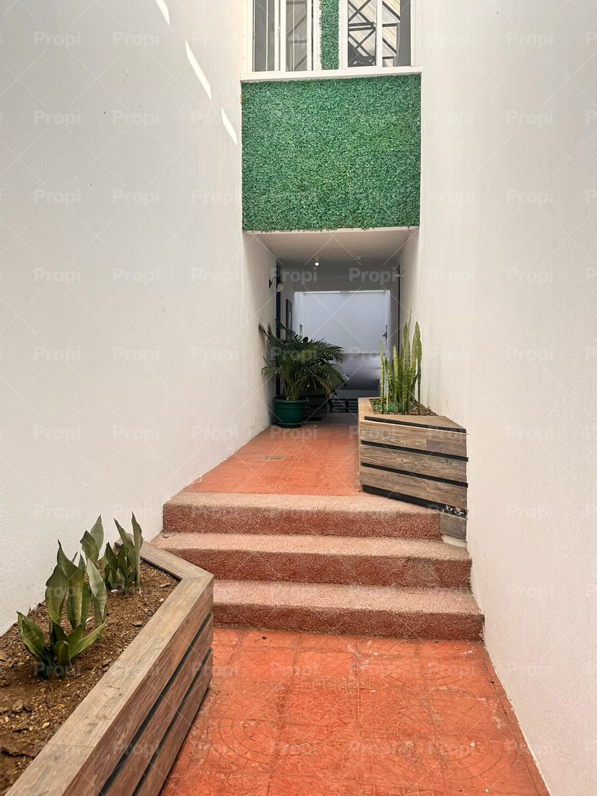 Foto 1 del proyecto