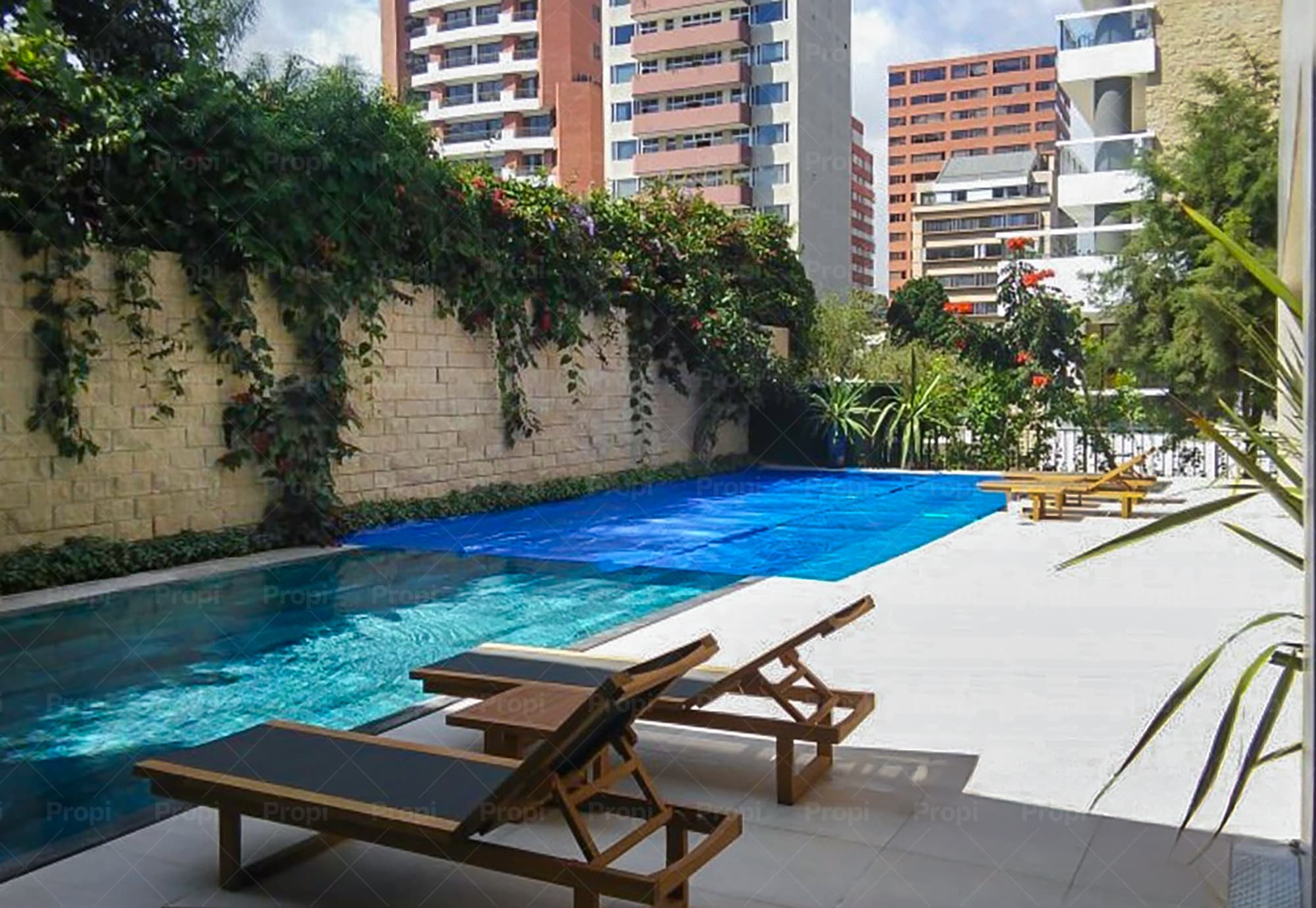 Foto 9 del proyecto