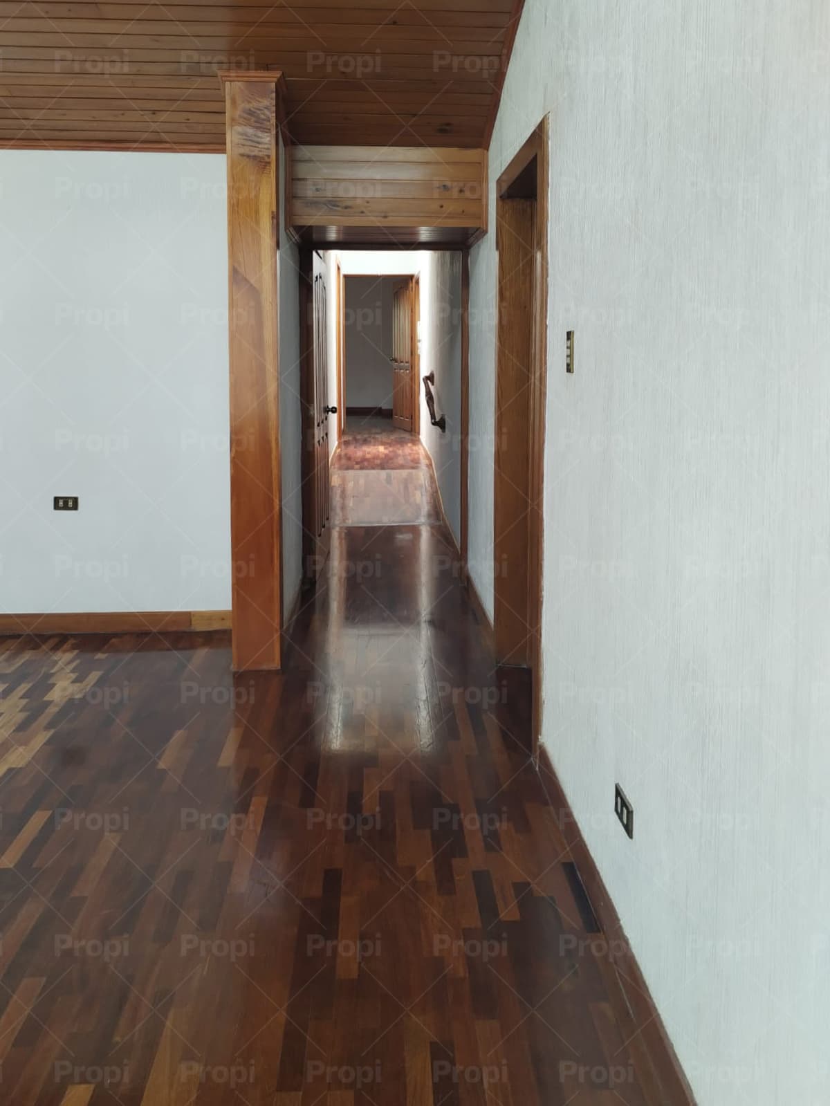 Foto 12 del proyecto