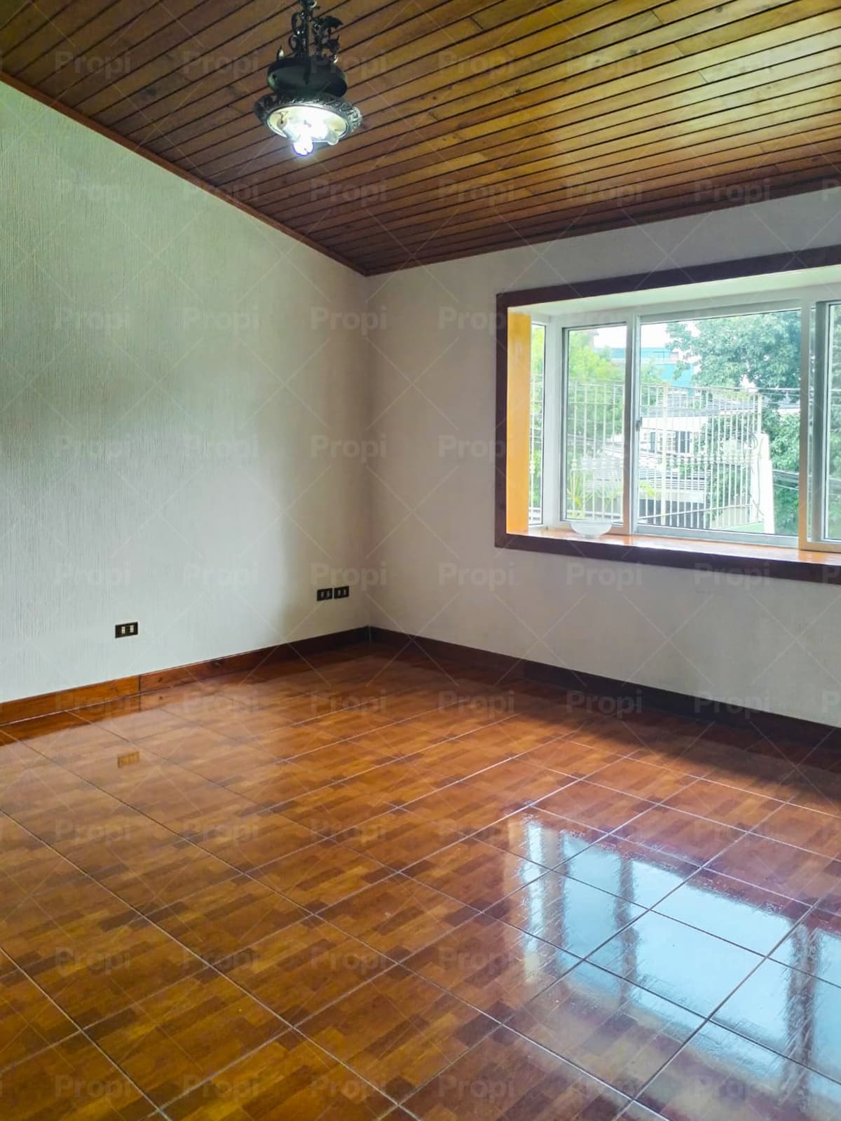 Foto 24 del proyecto