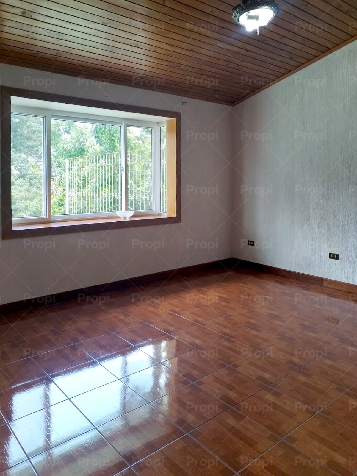 Foto 26 del proyecto