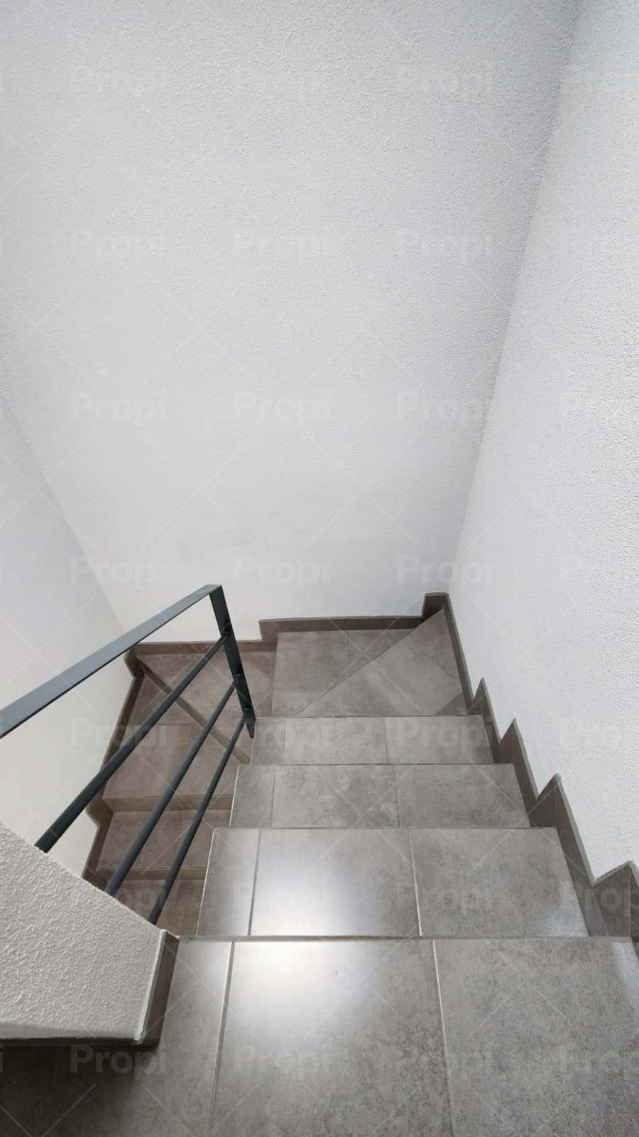 Foto 11 del proyecto