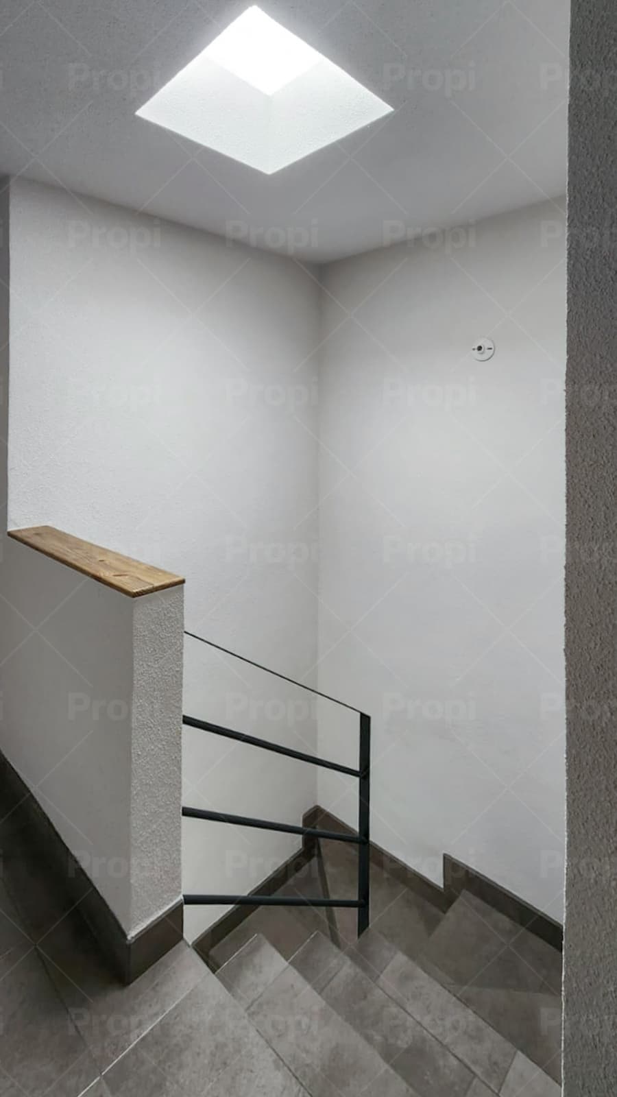 Foto 12 del proyecto
