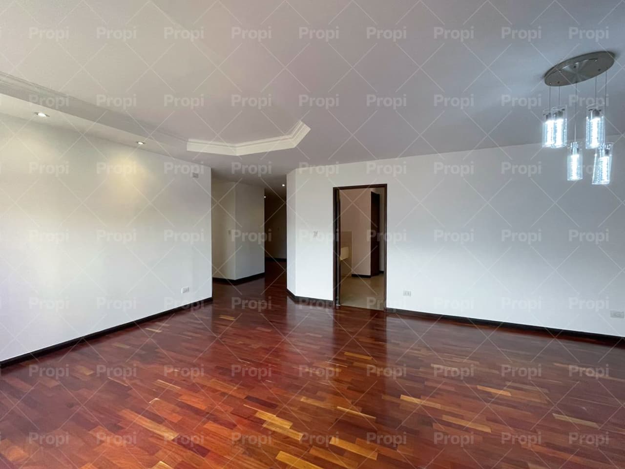 Foto 1 del proyecto