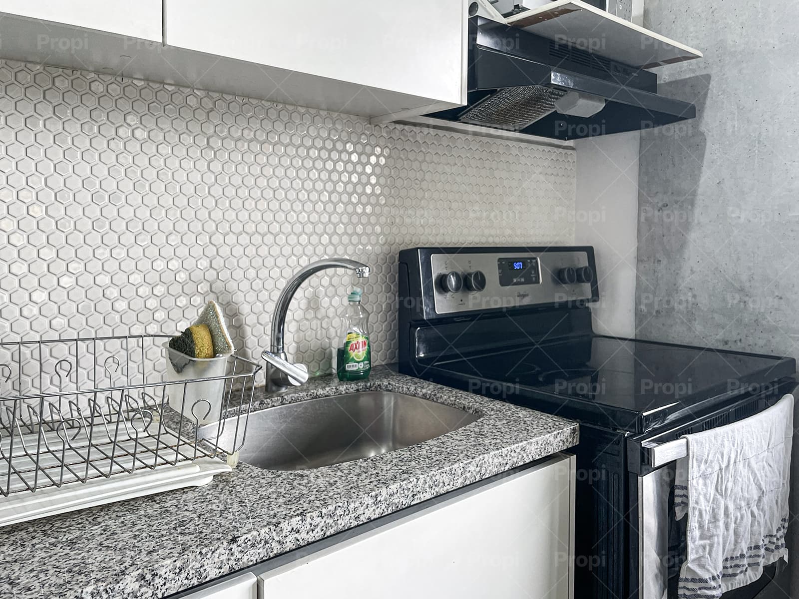 Foto 8 del proyecto