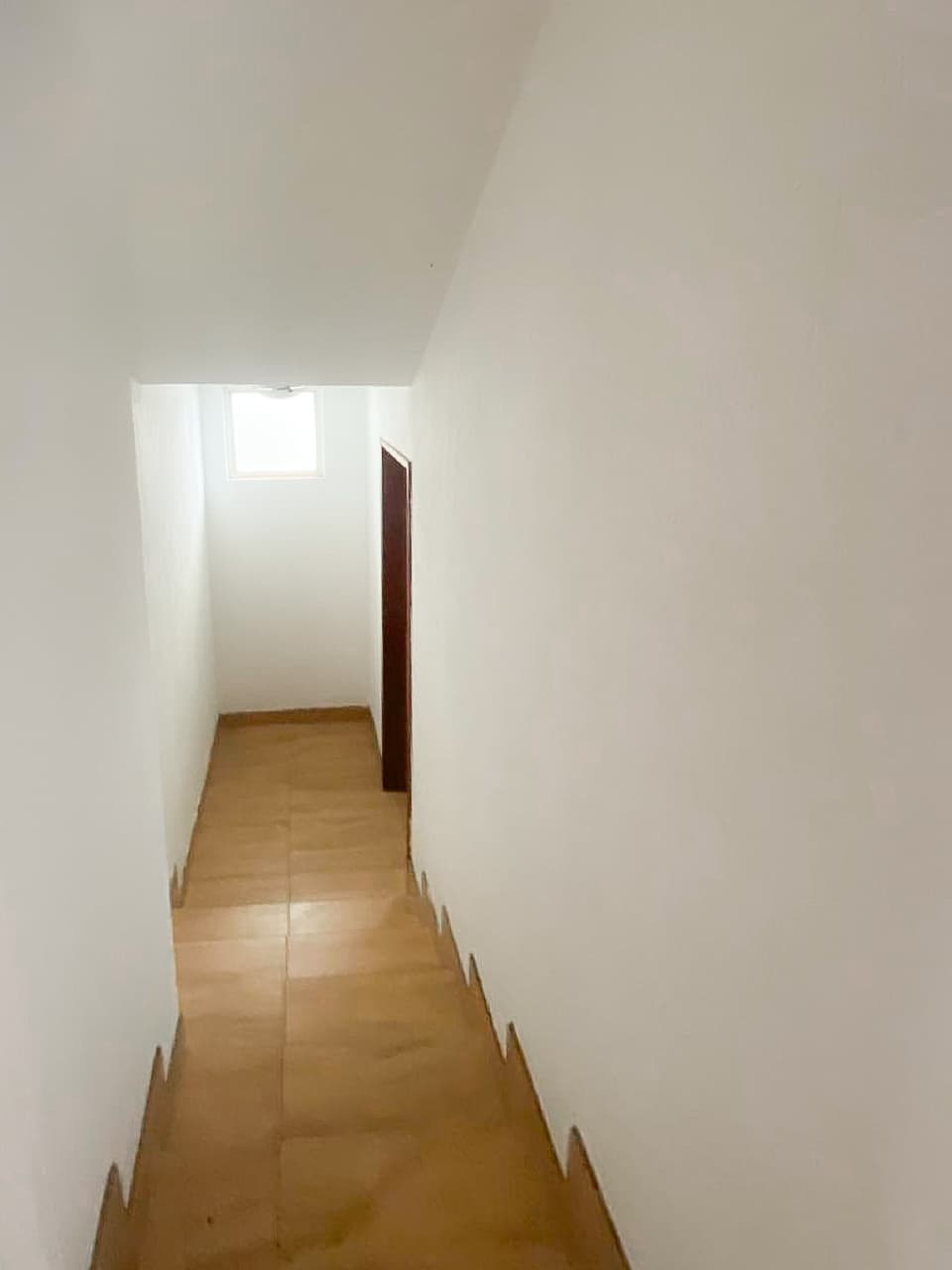 Foto 11 del proyecto
