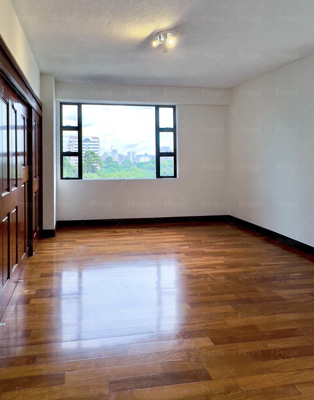 Foto 7 del proyecto