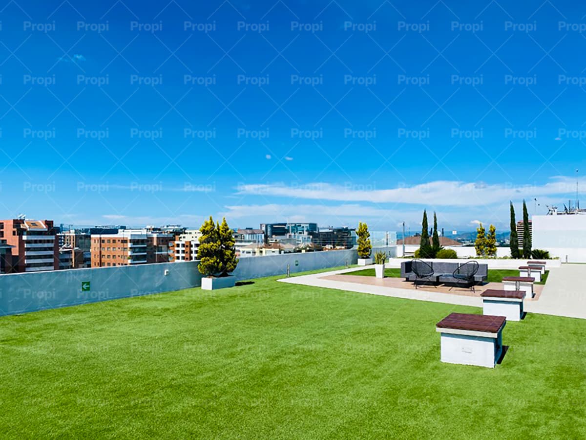 Foto 11 del proyecto