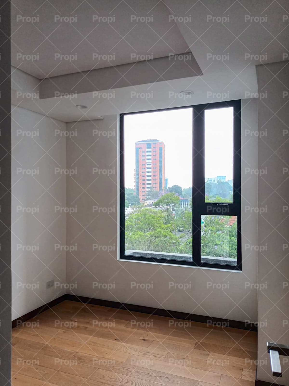 Foto 5 del proyecto