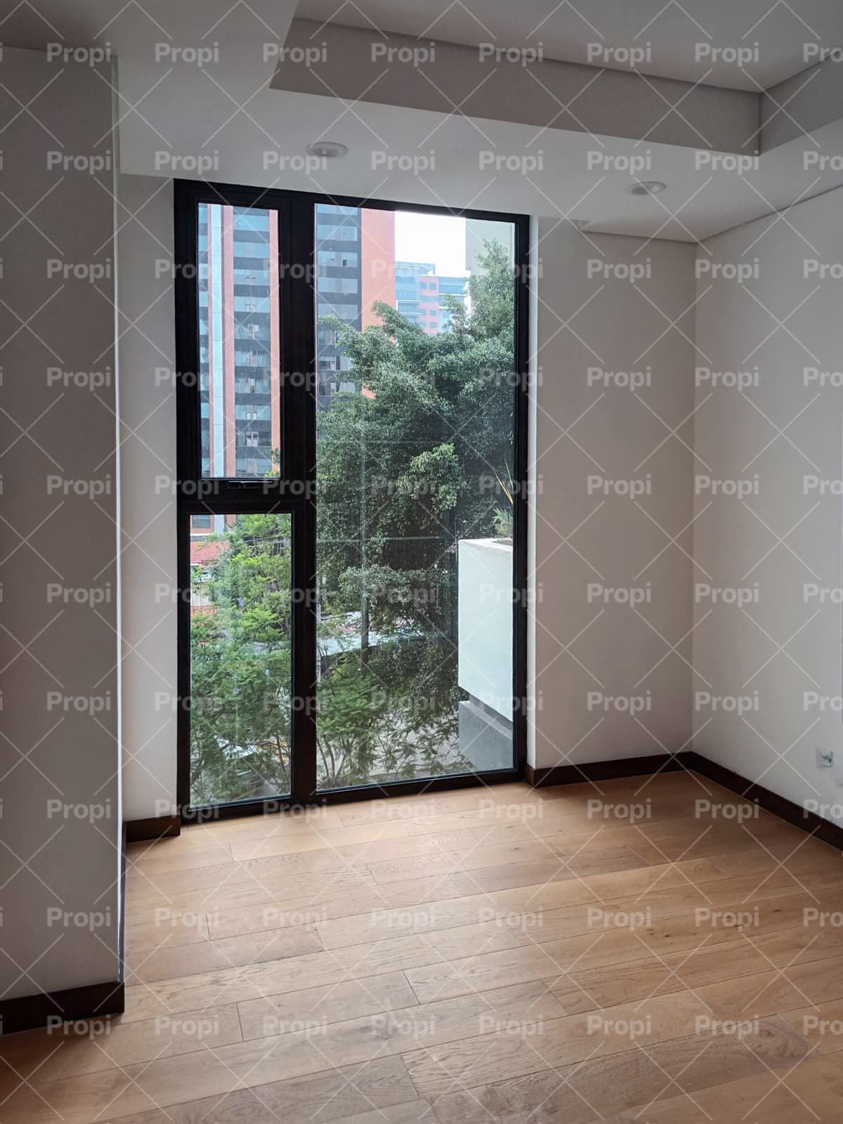 Foto 6 del proyecto