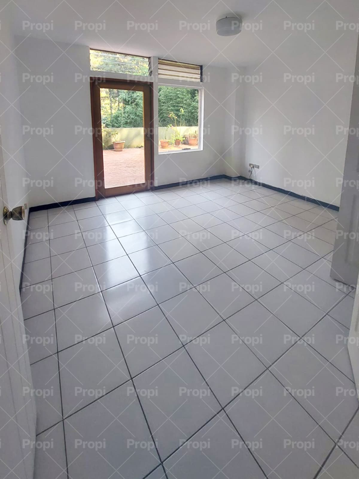 Foto 5 del proyecto