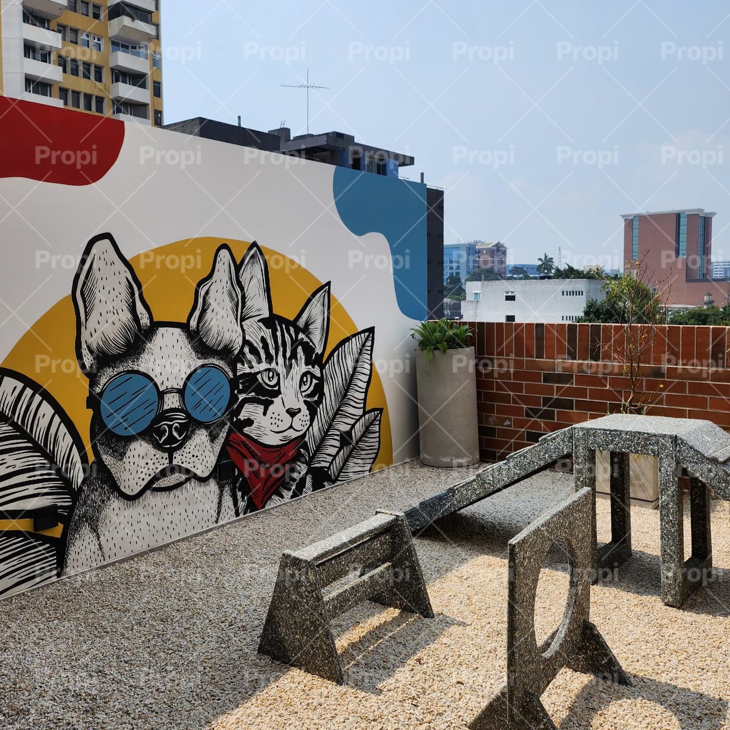 Foto 8 del proyecto