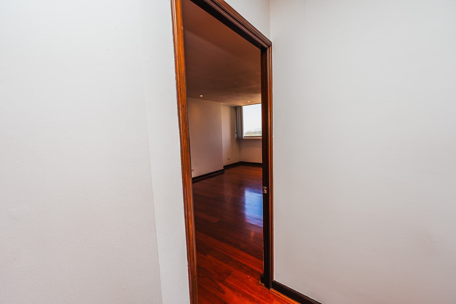 Foto 9 del proyecto