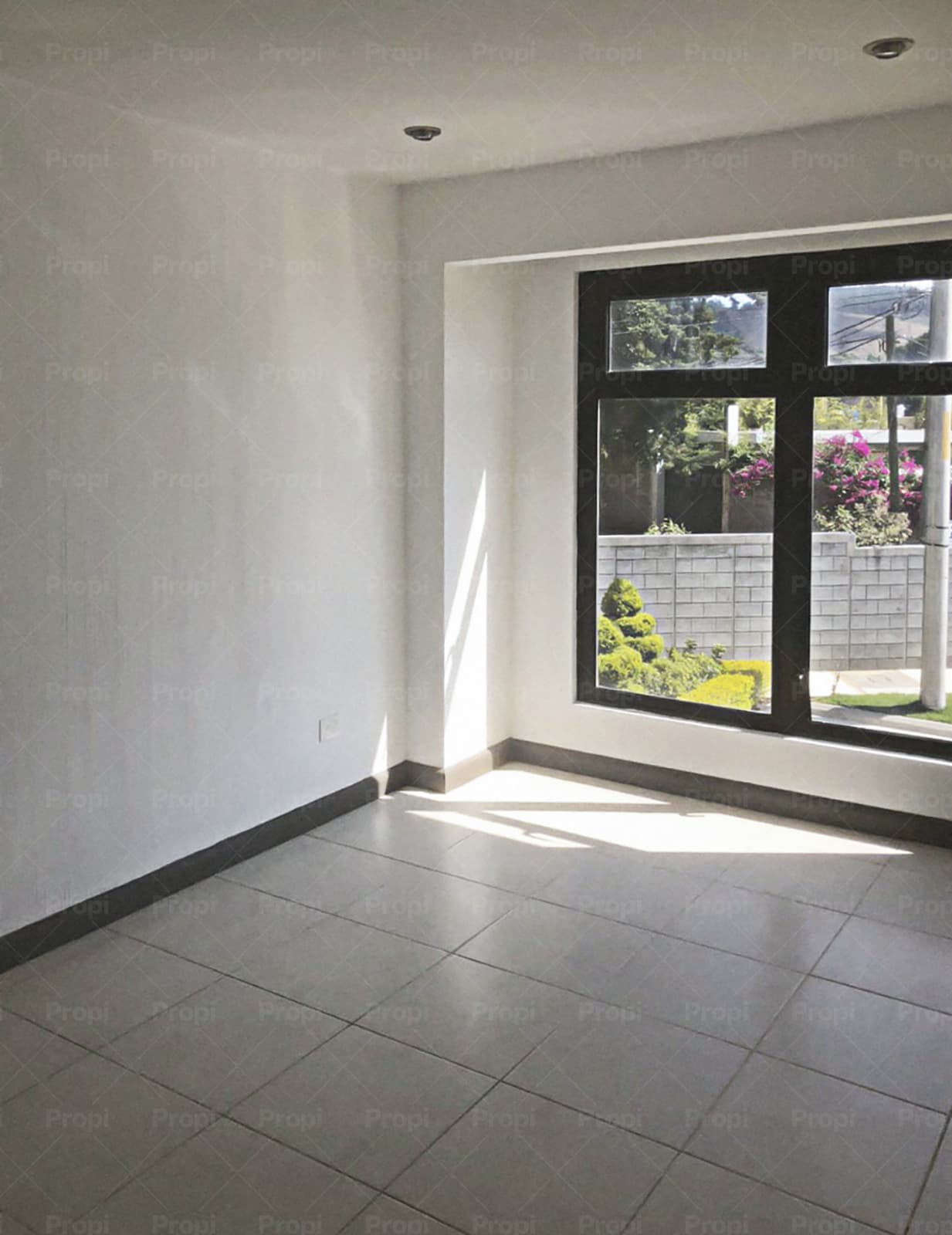 Foto 7 del proyecto