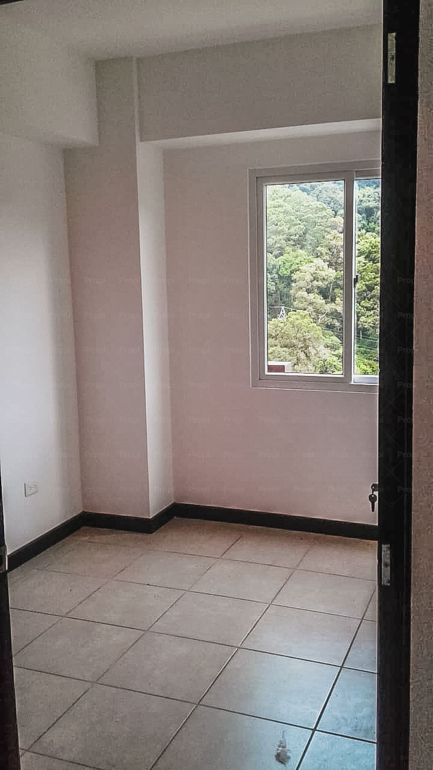 Foto 9 del proyecto