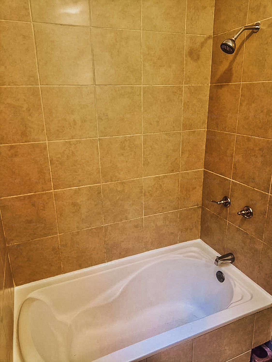 Foto 9 del proyecto