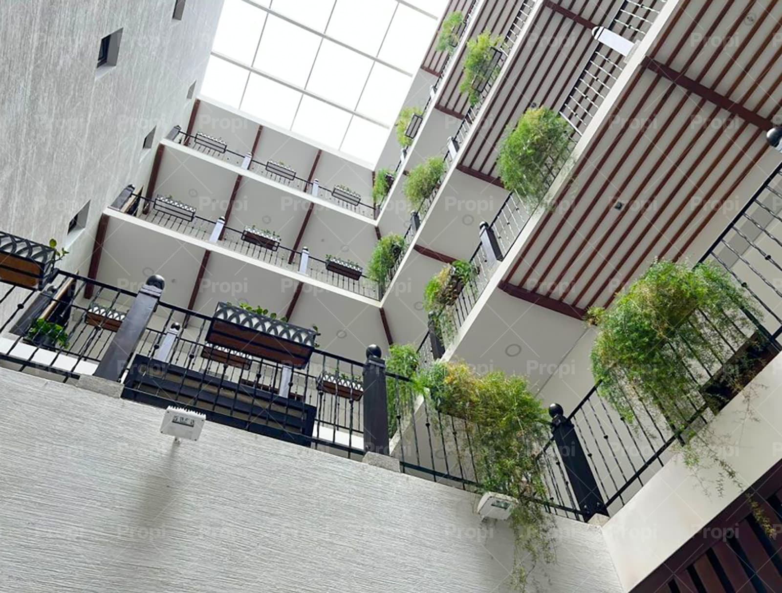 Foto 12 del proyecto