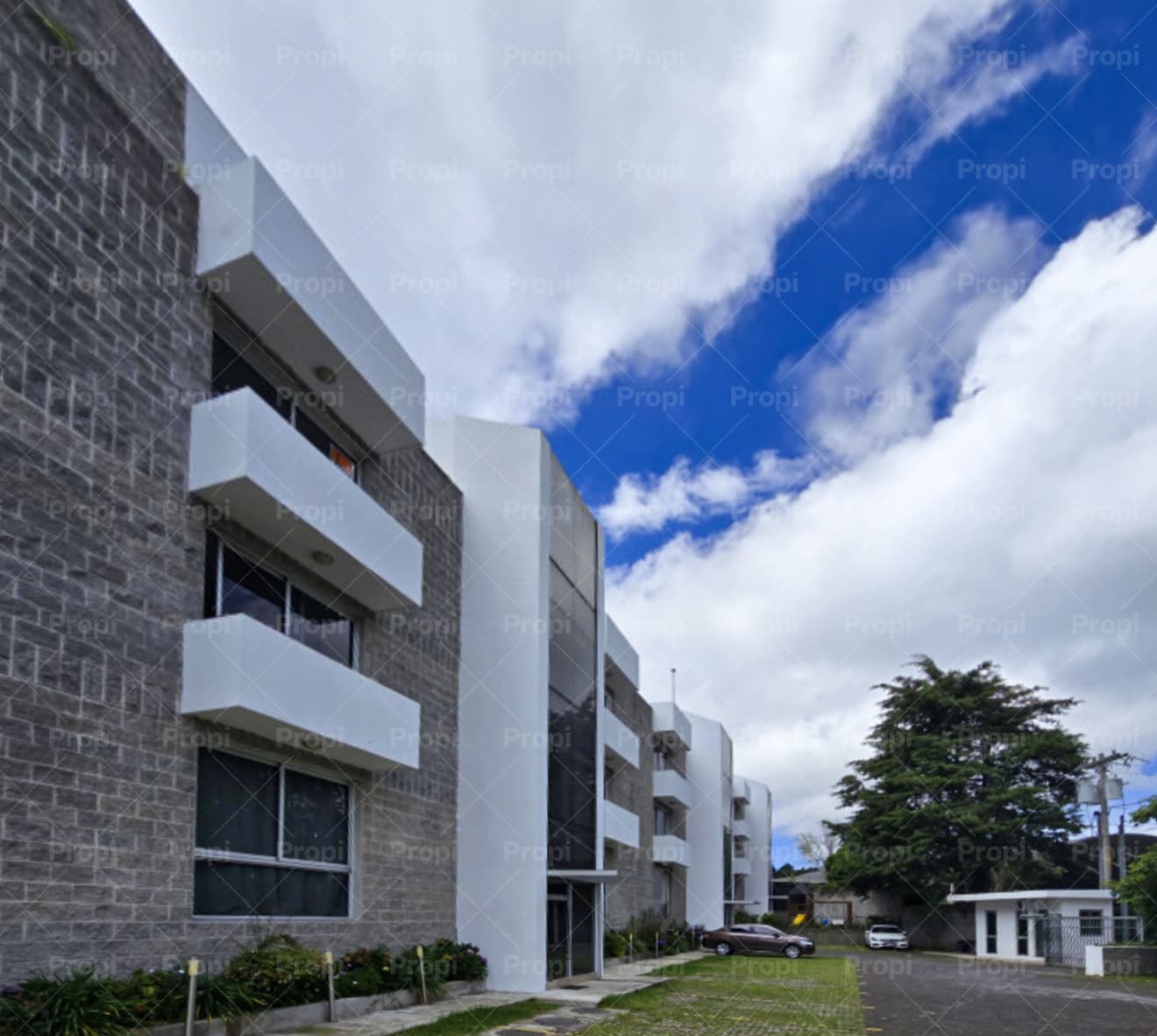 Foto 11 del proyecto