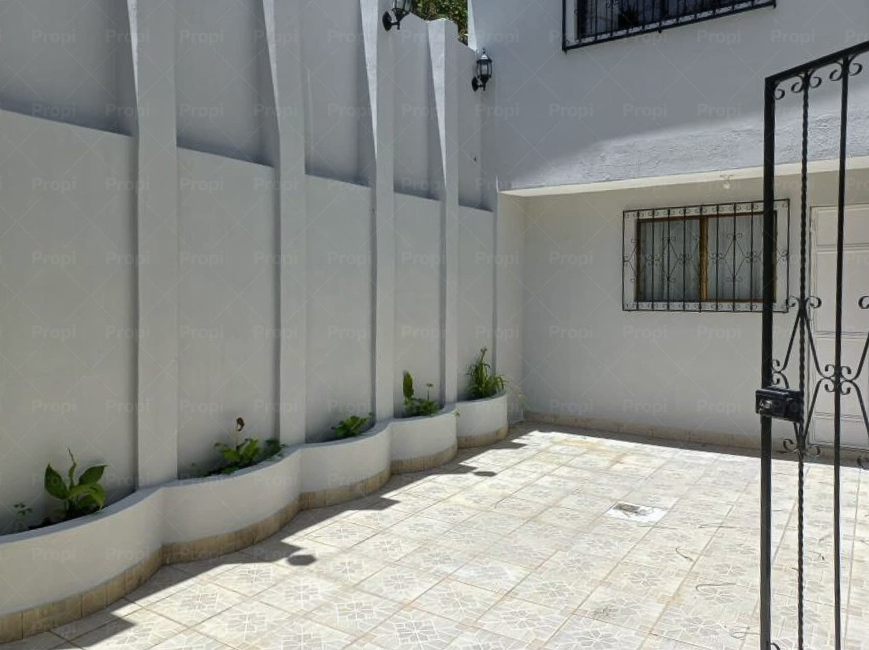Foto 4 del proyecto