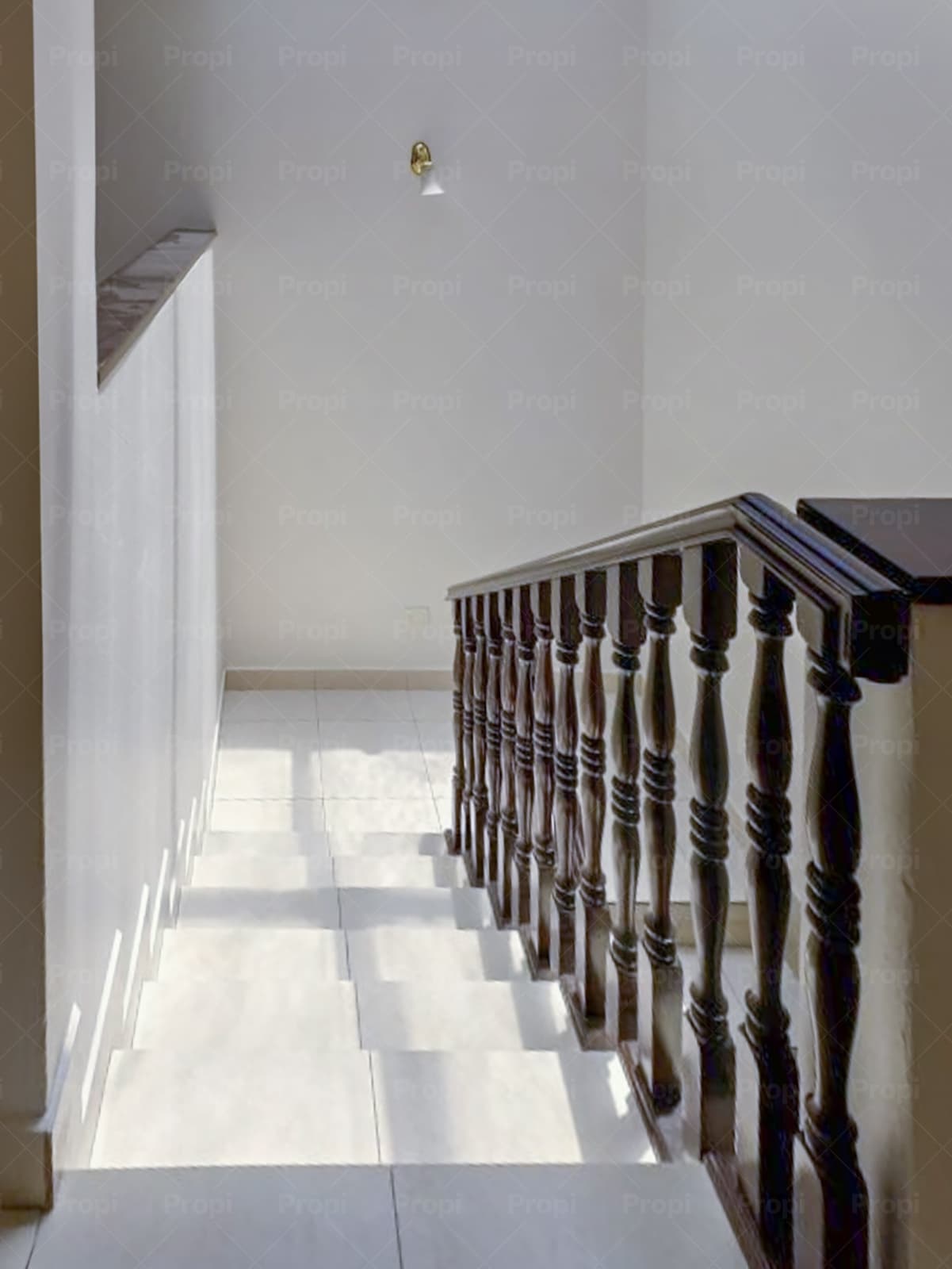 Foto 6 del proyecto