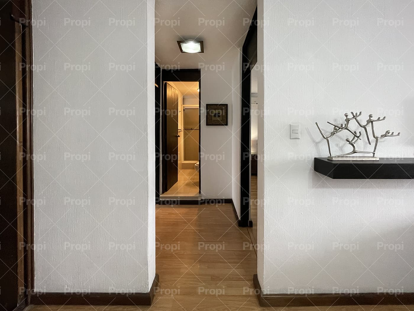 Foto 7 del proyecto