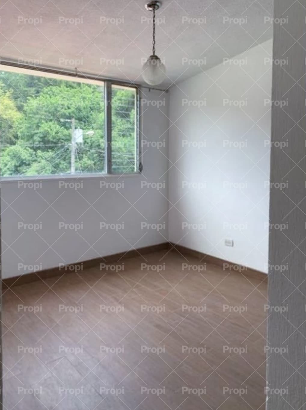 Foto 11 del proyecto