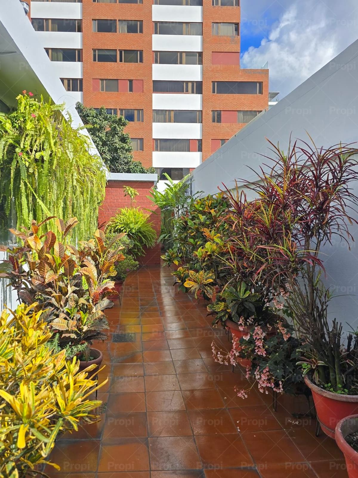 Foto 11 del proyecto