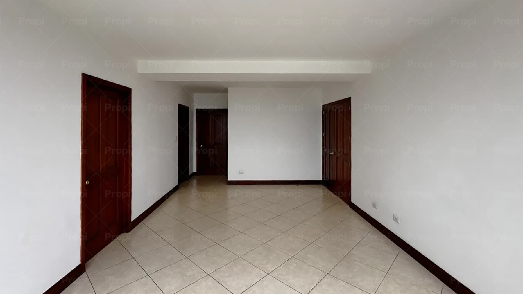 Foto 5 del proyecto