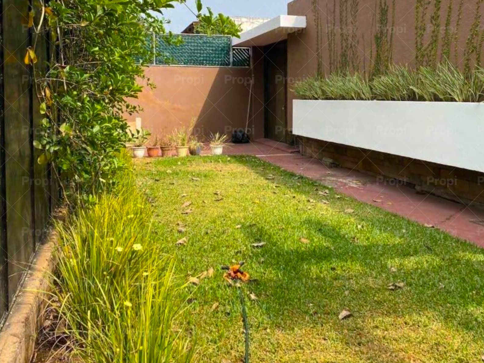 Foto 8 del proyecto