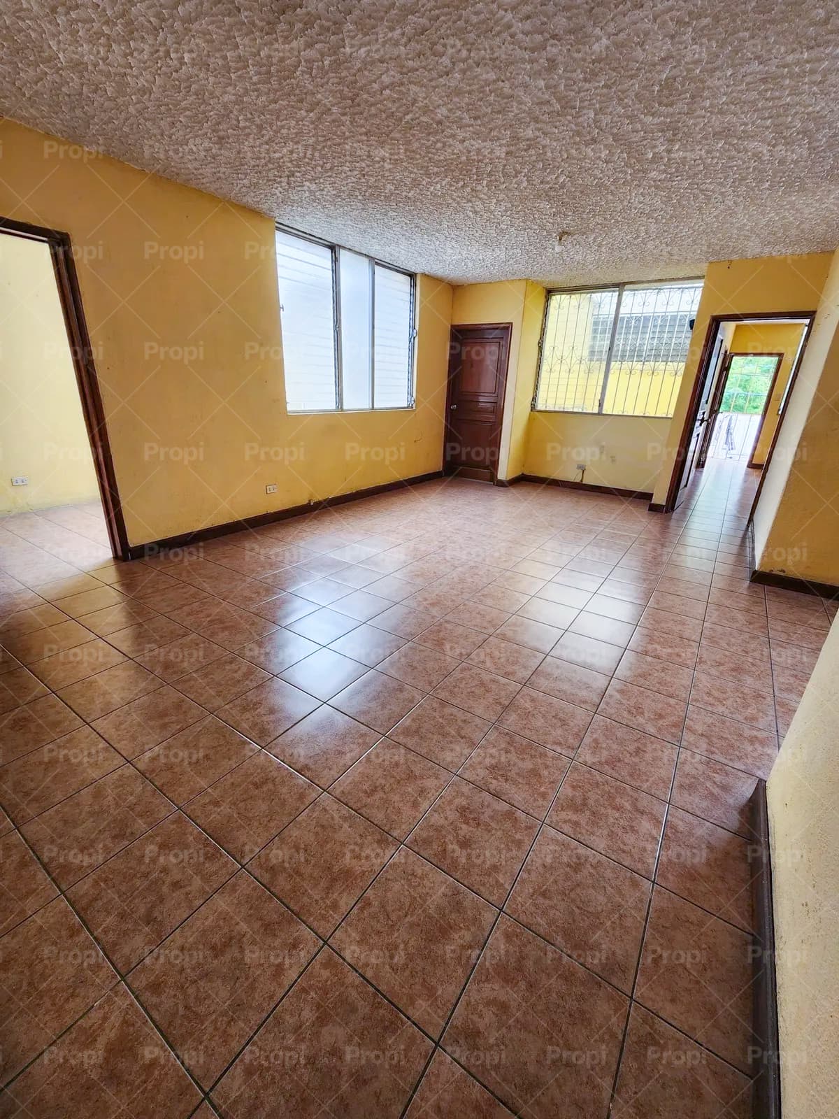 Foto 4 del proyecto