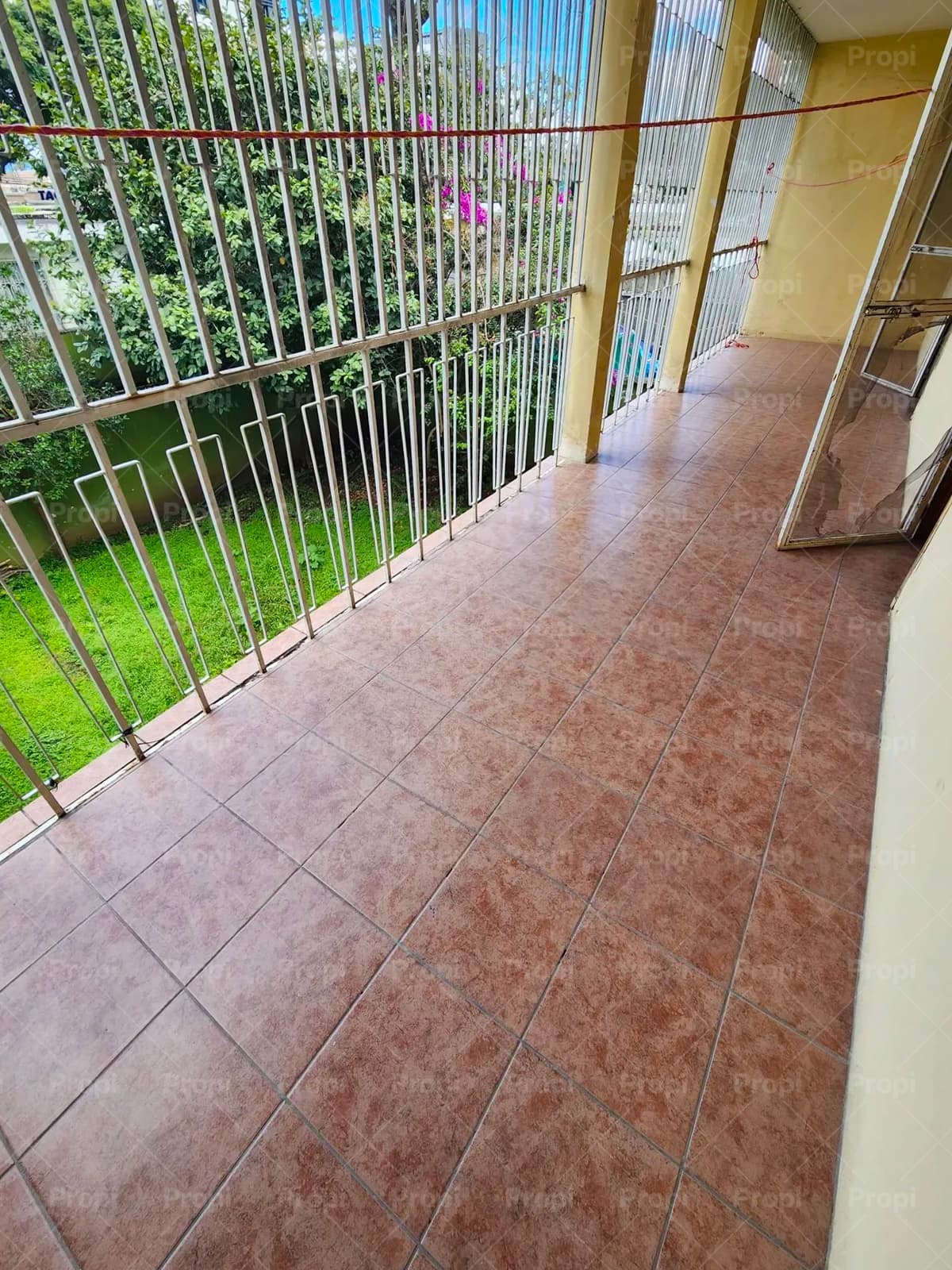 Foto 7 del proyecto
