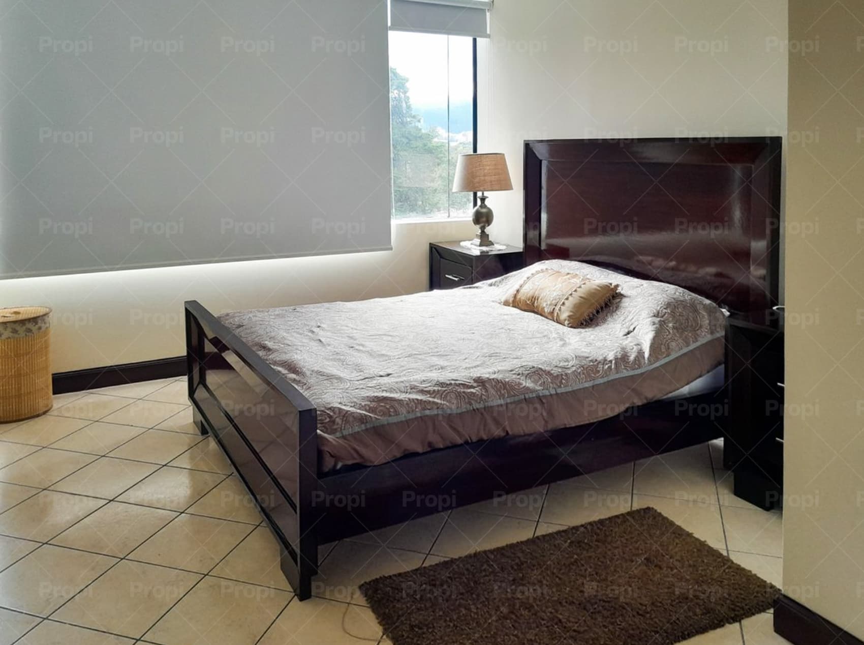 Foto 6 del proyecto