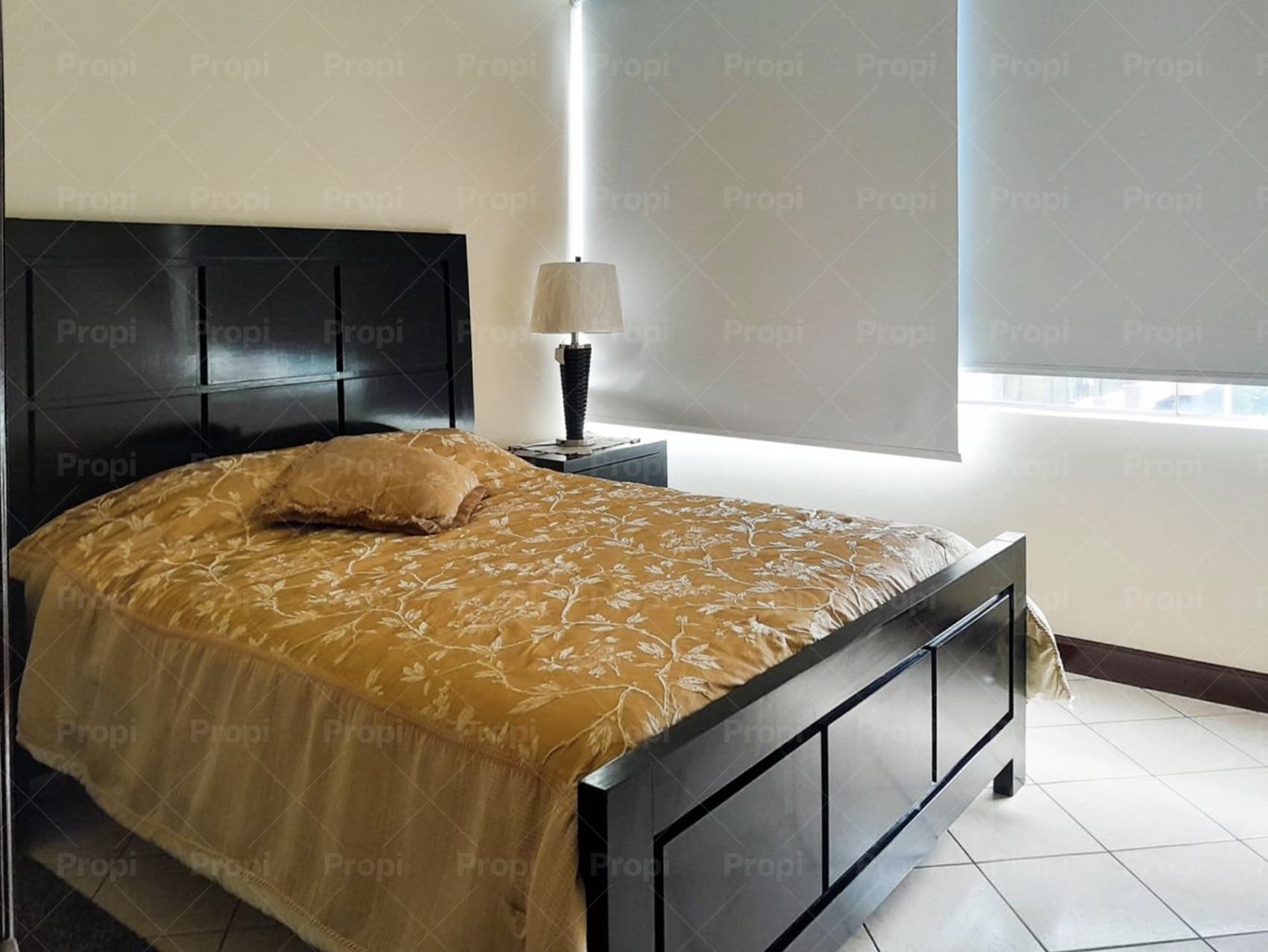 Foto 9 del proyecto