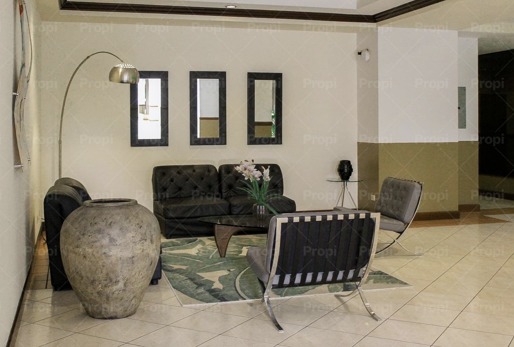 Foto 11 del proyecto