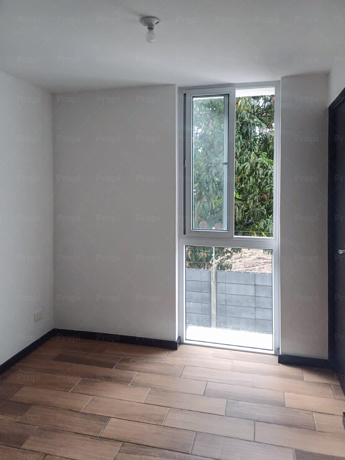 Foto 5 del proyecto