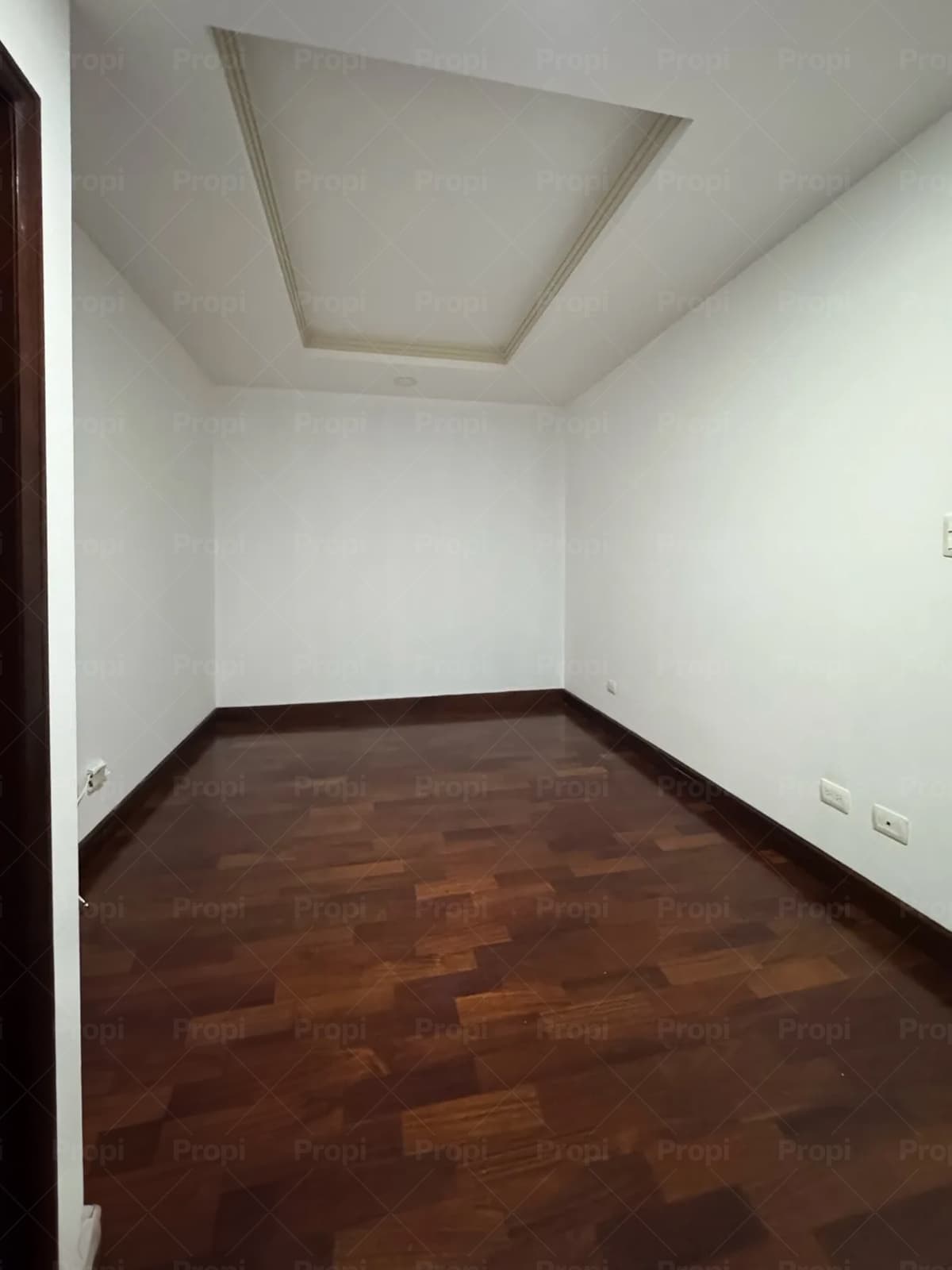 Foto 4 del proyecto