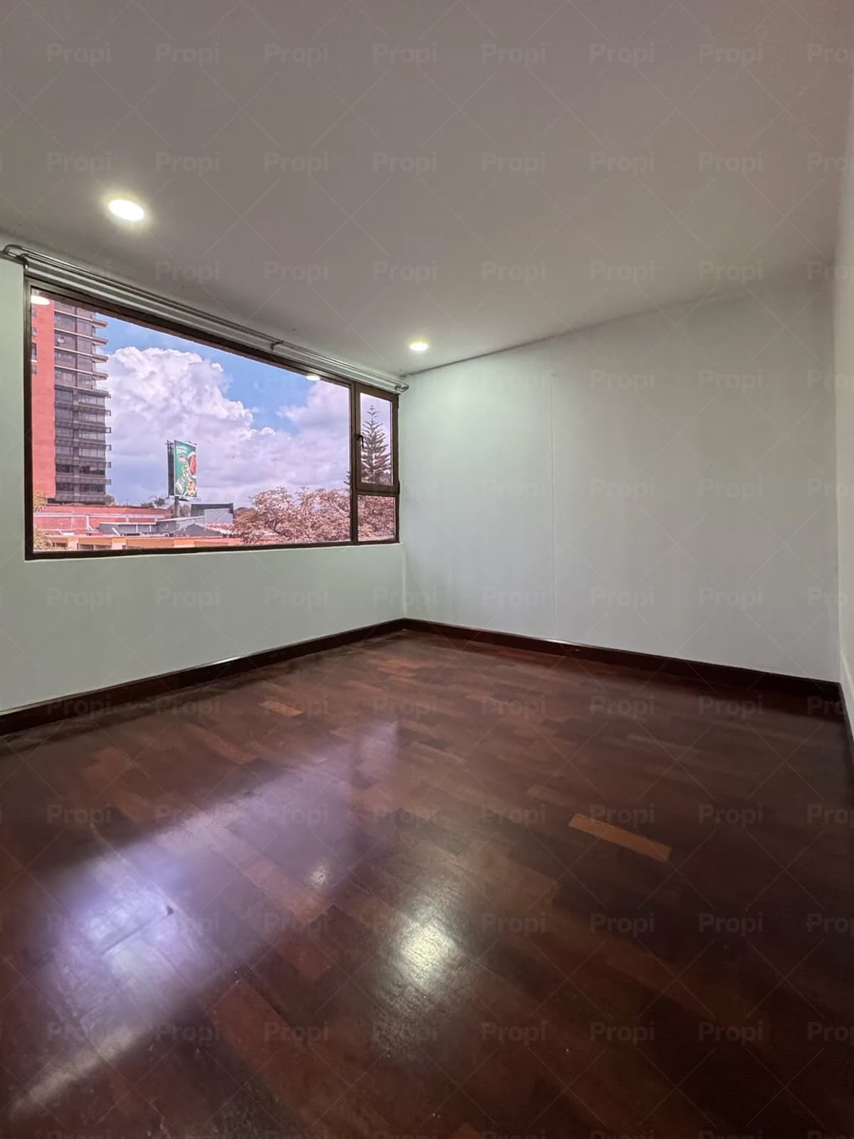 Foto 5 del proyecto