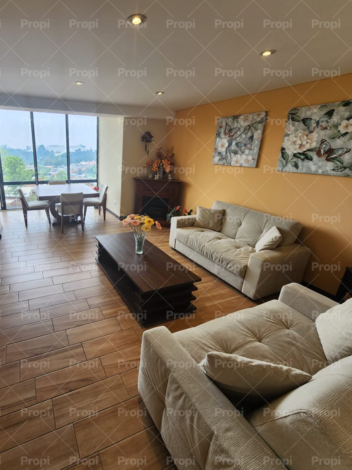 Foto 1 del proyecto