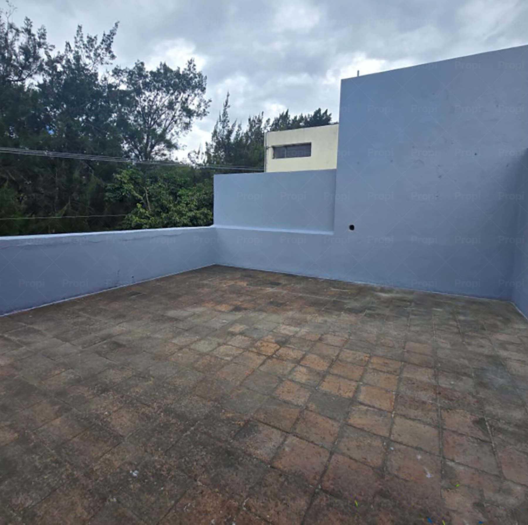 Foto 14 del proyecto