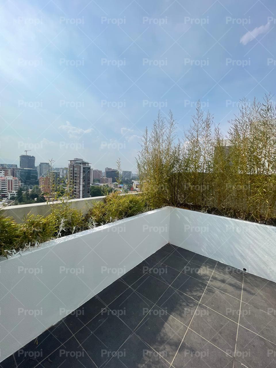 Foto 13 del proyecto
