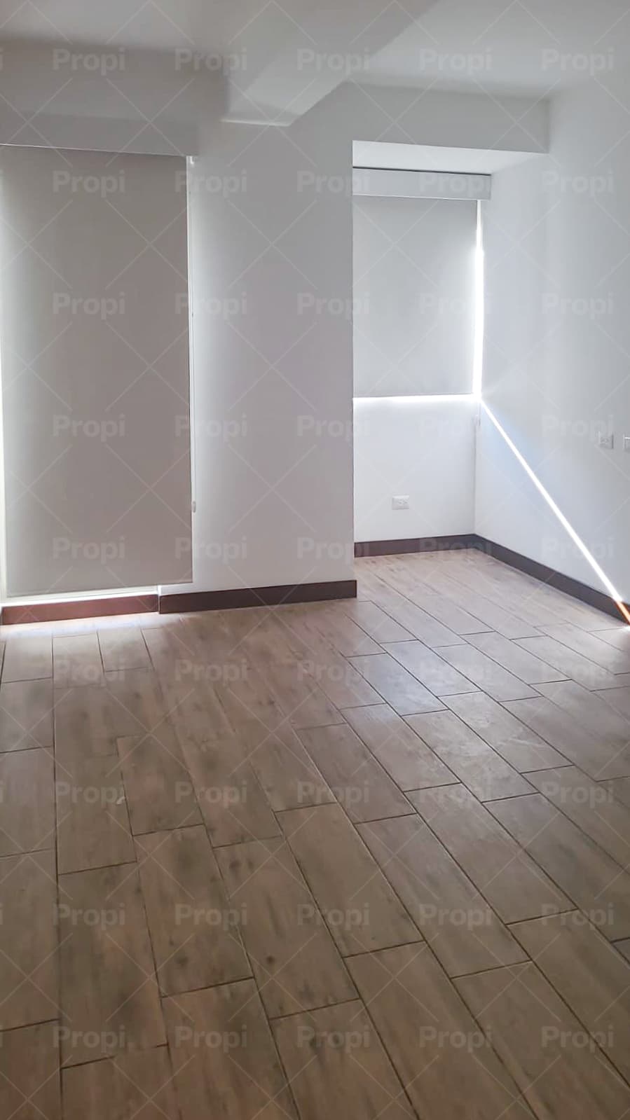 Foto 1 del proyecto