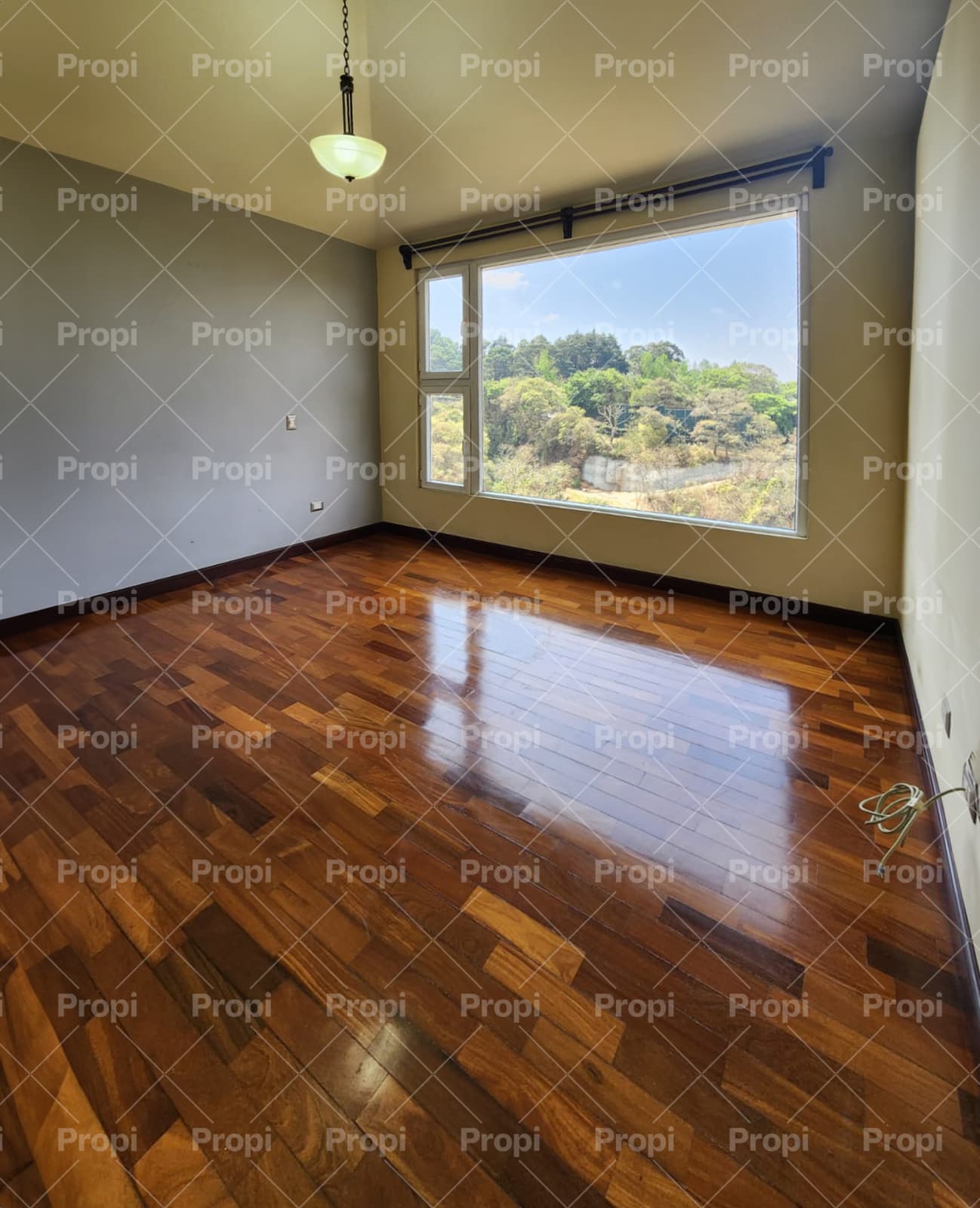 Foto 8 del proyecto