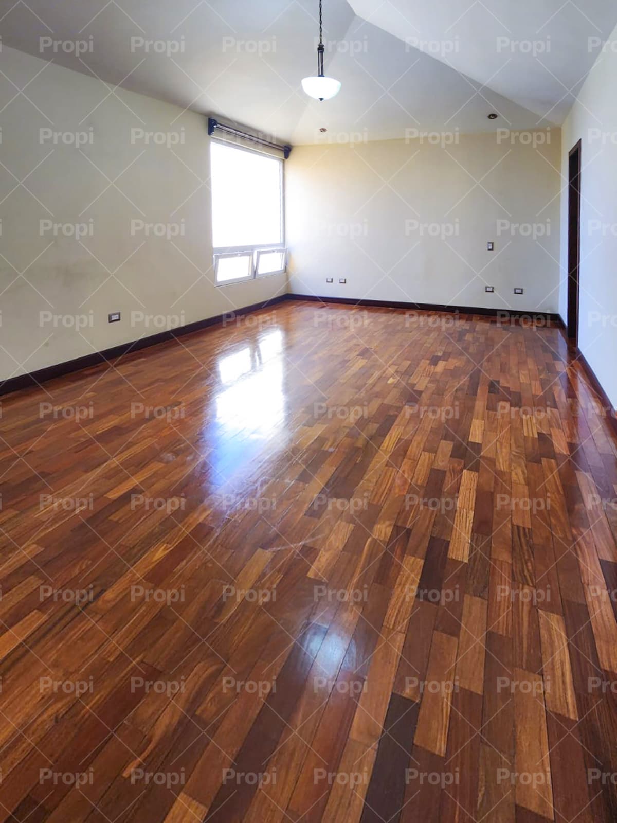 Foto 9 del proyecto