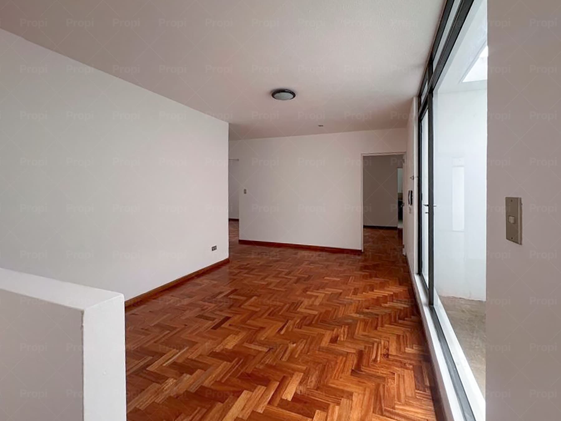 Foto 7 del proyecto